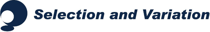 企業の人事戦略策定・人事制度設計のセレクションアンドバリエーション公式ブログ