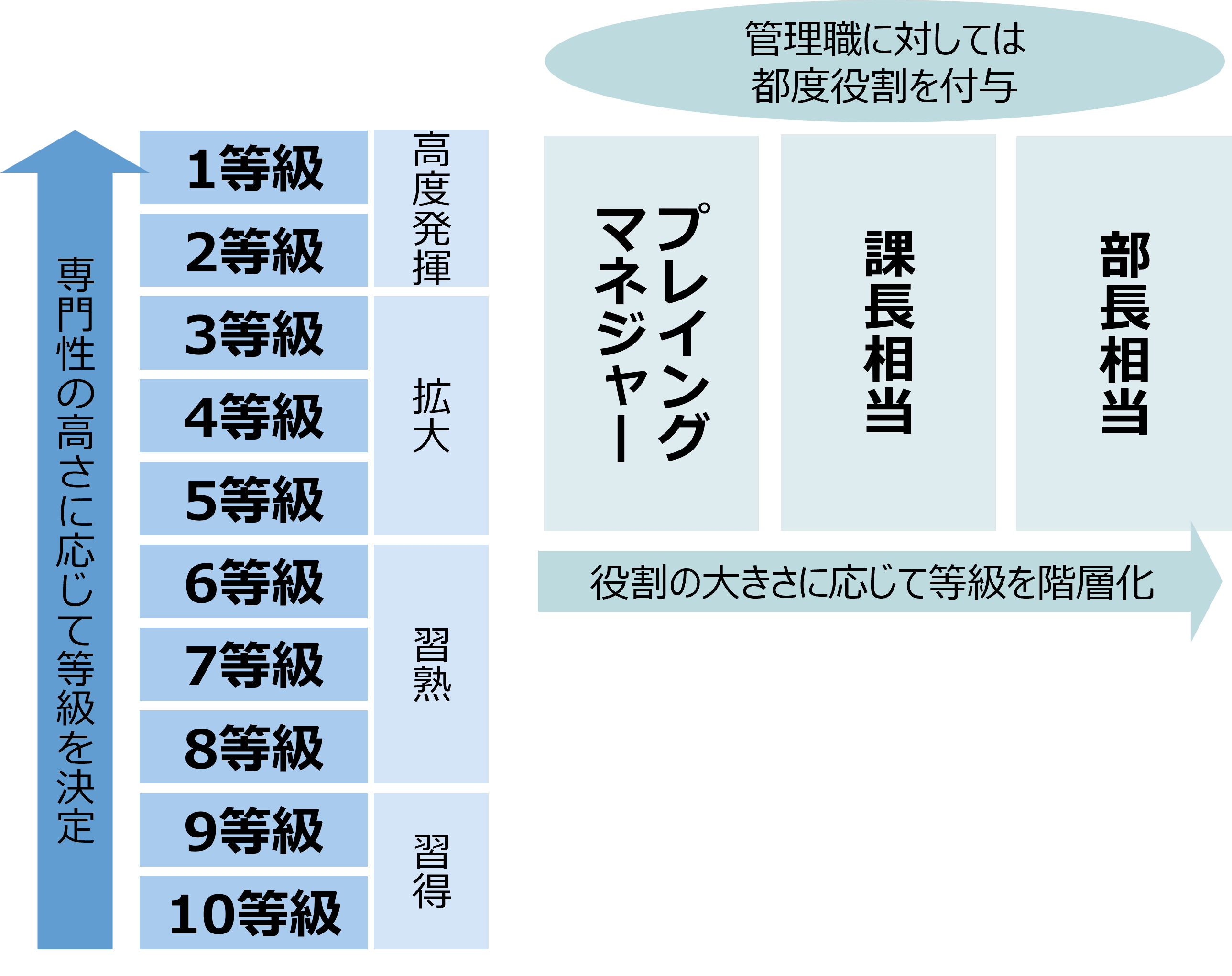 専門性を起点に、映像業界における持続的成長を実現する制度改革